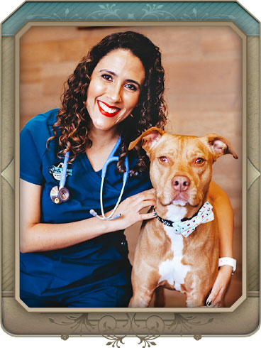 Staff of North Paws Veterinary Clinic
