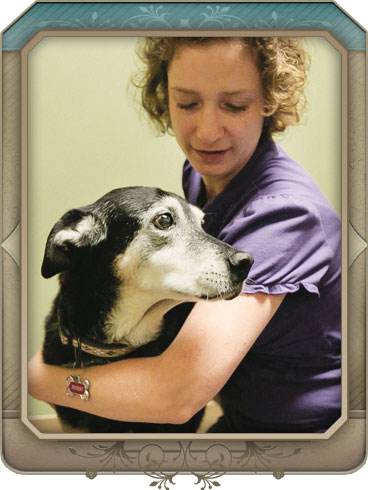 Health Maintenance Services of North Paws Veterinary Clinic
