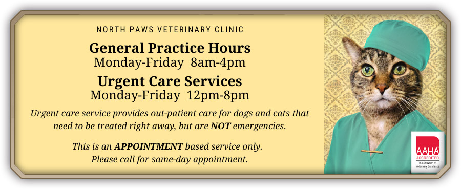 Pet Urgent Care Services at North Paws Veterinary Clinic